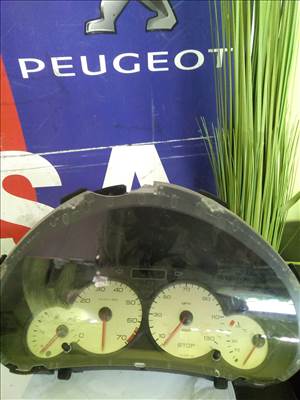 Peugeot 206 Óracsoport  9651741180