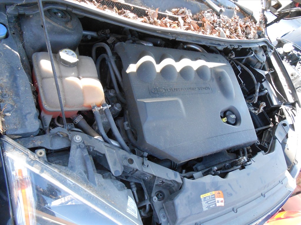 Ford FOCUS II (DA_HCP_DP) 2.0 TDCi jobb visszapillantó (elektromos) 7. kép