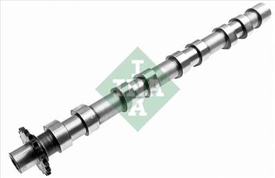 vezérműtengely Schaeffler INA 428 0160 10 for FORD, CITROËN, FIAT, PEUGEOT, …