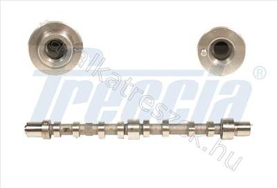 VEZÉRMŰTENGELY FIAT DUCATO Busz (244_) - FRECCIA CM05-2199