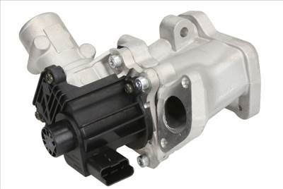 Land Rover Freelander EGR Szelep (2.2D)
