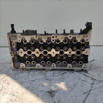 202534 Fiat Punto III. 2003-2010 1,3 16v Diesel hengerfej szelepekkel 55193109