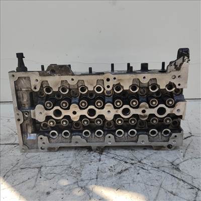 202533 Fiat Punto III. 2003-2010 1,3 16v Diesel hengerfej szelepekkel 55193109