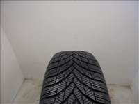Firestone Winterhawk 4 195/65 R15