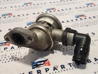 BMW E36 E46 Z3 316i 318i M43 N42 EGR szelep