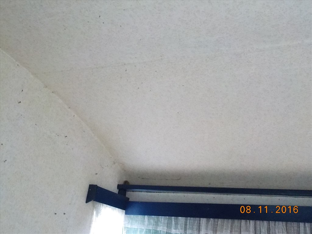 LAKÓKOCSI,FELÚJÍTÁSRA SZORULOAN PAPIROK NÉLKŰL TAPOLCÁN ELADÓ 33. kép