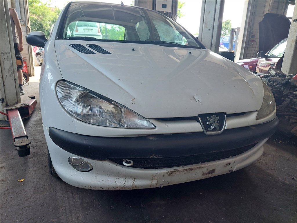 Peugeot 206 bajuszléc  1. kép