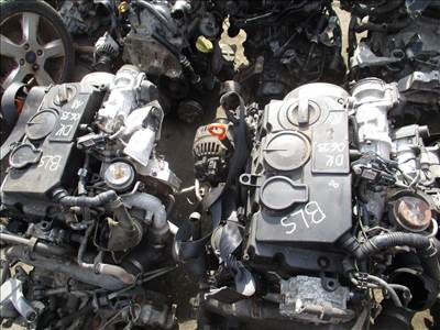 Volkswagen Caddy III Golf V Touran Seat Skoda Audi 1.9 TDI motor BLS