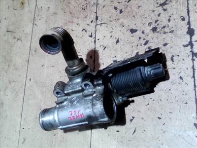 DACIA LOGAN 04.11-08.06 EGR AGR szelep
