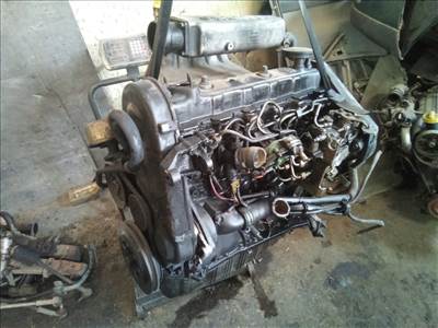 VOLKSWAGEN T4 -96 Motor, diesel fűzött blokk hengerfejjel