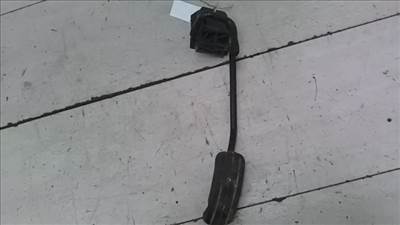 RENAULT Kangoo 2003.01 - 2008.01 Gázpedál 