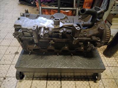 RENAULT MEGANE 99-02 Hengerfej. benzines
