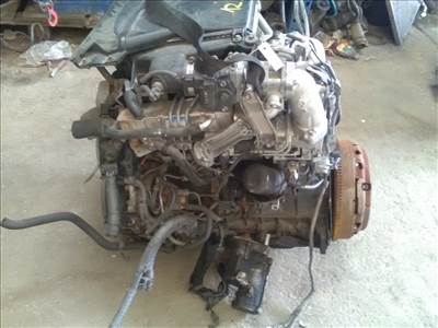 TOYOTA Hilux 2005.07.01-2015.12.01 Motor, diesel fűzött blokk hengerfejjel