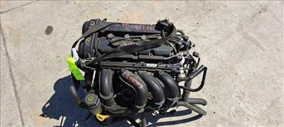 FORD C-MAX 03.06-07.03 Motor. benzin fűzött blokk hengerfejjel