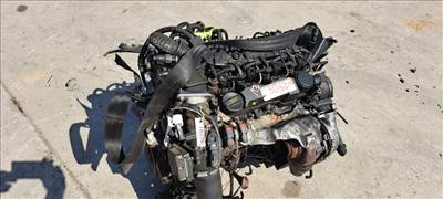 FORD Focus 2004.09.01-2007.08.31 Motor, diesel fűzött blokk hengerfejjel