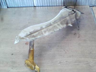 RENAULT MEGANE 99-02 Ablakmosó tartály 1 motoros