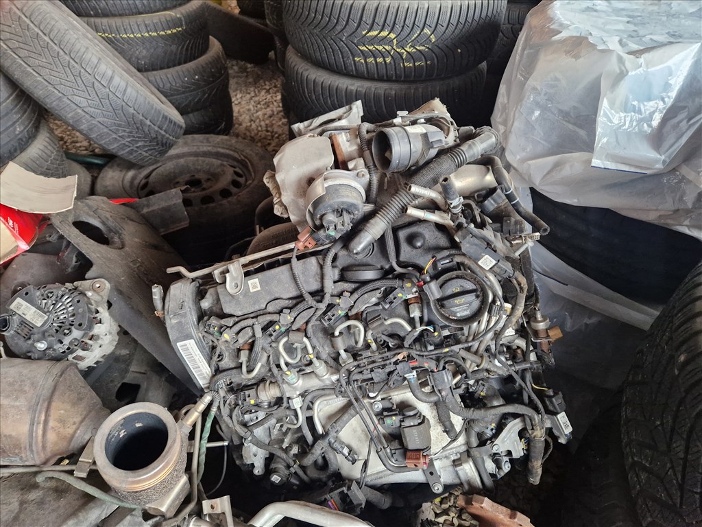 Audi A5 (B9 - 8W) Coupé 2.0 TDI AUDI A 5 2020 2.0 CRTDI DSG 190LE 6. kép