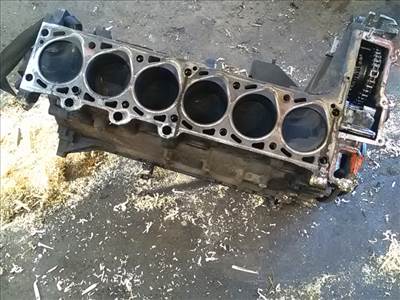 BMW E36 89-00 Motor, diesel fűzött blokk hengerfej nélkül