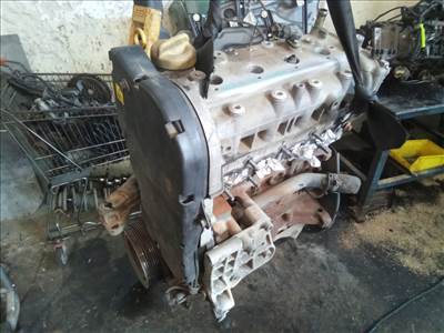 FIAT ALBEA 02.01.01-04.12.31 Motor. benzin fűzött blokk hengerfejjel