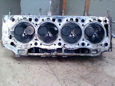 RENAULT MEGANE SCENIC 99-03 Hengerfej, diesel