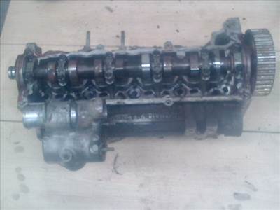 RENAULT THALIA 02.03-08.10 Hengerfej, diesel