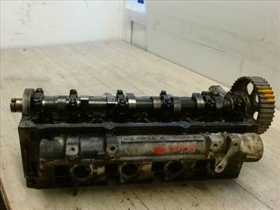 RENAULT THALIA 02.03-08.10 Hengerfej, diesel