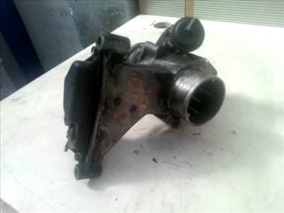 RENAULT VEL SATIS 02-09 Fojtószelep mechanikus