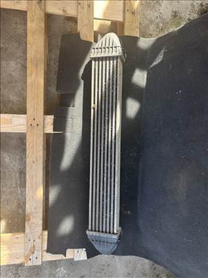 Mercedes A-osztály W169 Intercooler hűtő a1695000000