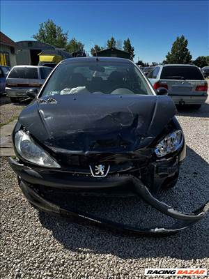 Peugeot 206 bontott alkatrészei