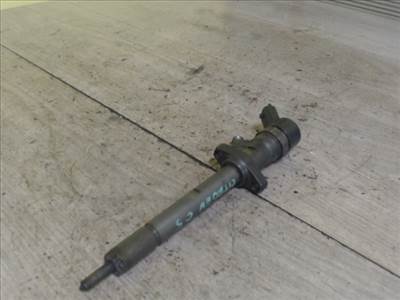 CITROEN C5 -04.09 Porlasztó