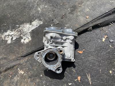 RENAULT SCÉNIC III JZ0/1_ EGR / AGR Szelep 013812