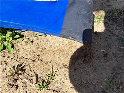 Seat Ibiza II sárvédő 