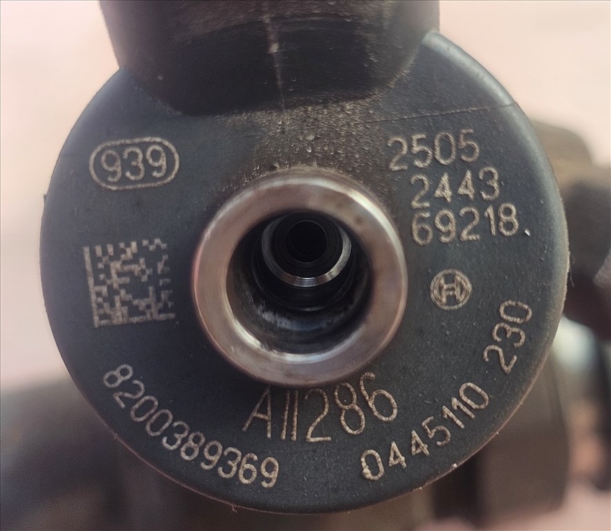 Renault Laguna II,  Mégane II,  Scénic II Porlasztó szett 1.9 dci  1. kép