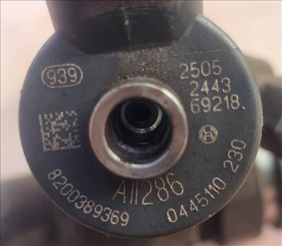 Renault Laguna II,  Mégane II,  Scénic II Porlasztó szett 1.9 dci 