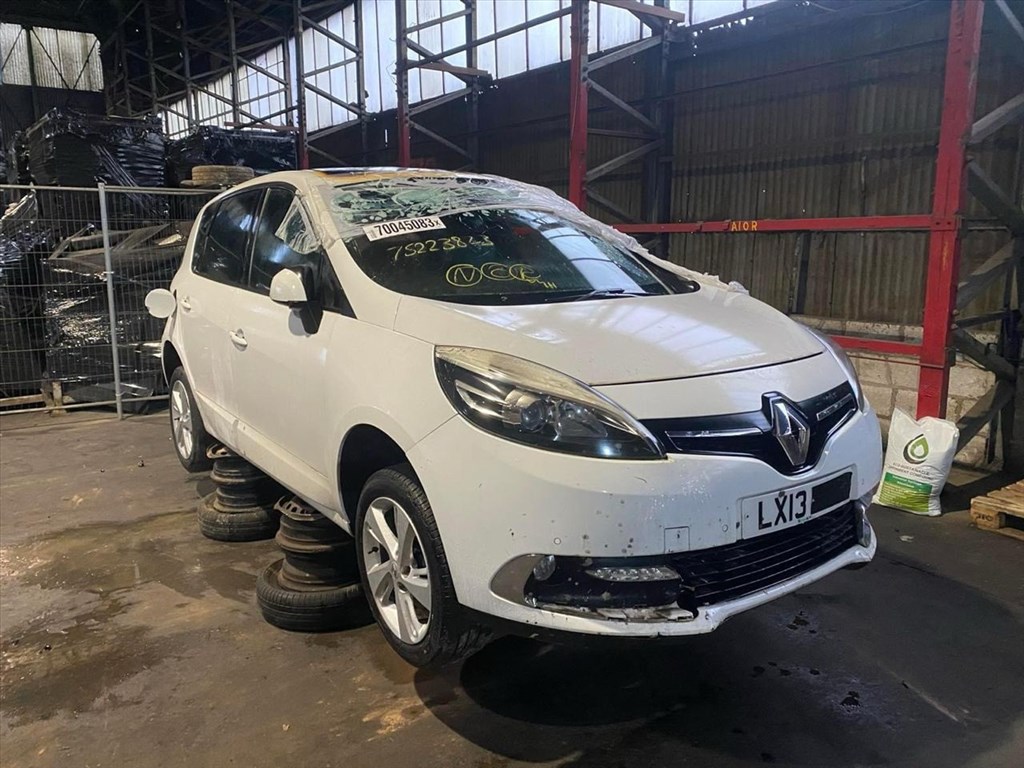 RENAULT SCÉNIC III JZ0/1_ Motor (Fűzött blokk hengerfejjel) 012485 2. kép