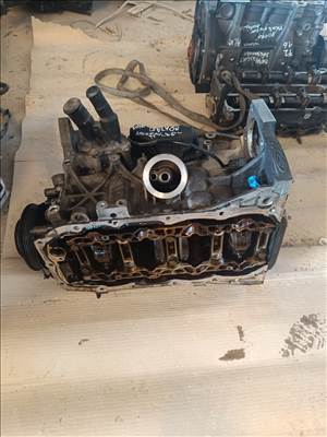 Ford Fiesta Mk5 1.6 16V blokk  4m5g6015