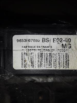 Peugeot Citroen BSI E02-00 MG S118035220 E