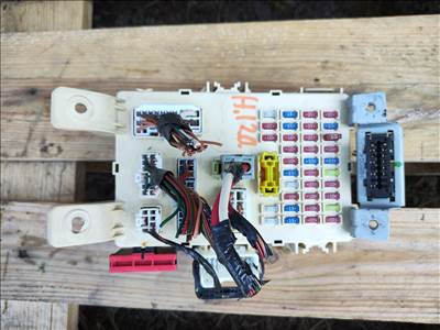 Hyundai i20 (PB) műszerfal biztosítéktábla  919501j030