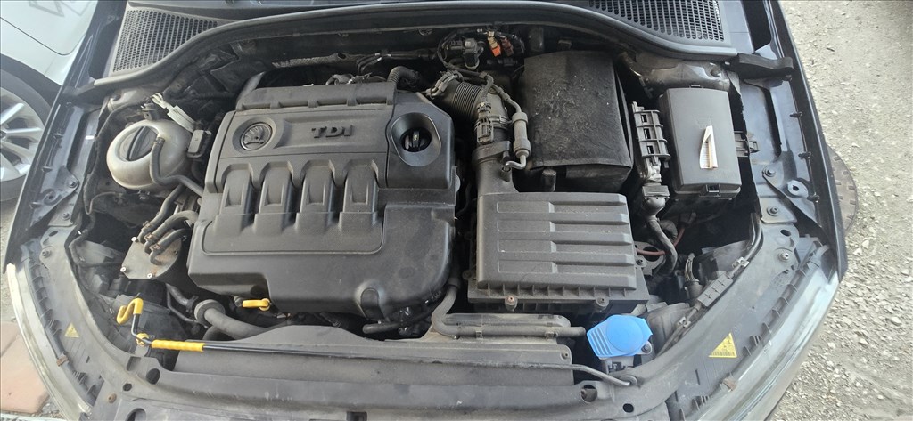 Skoda -Vw-Seat -Audi motorok  10. kép