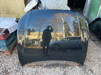 AUDI A5 8T3 Motorháztető 015410