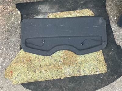 RENAULT CLIO III BR0/1, CR0/1 Kalaptartó