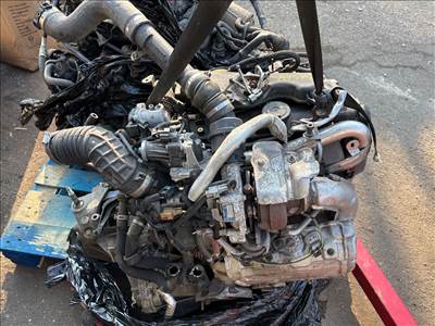 NISSAN PULSAR C13 Motor (Fűzött blokk hengerfejjel)