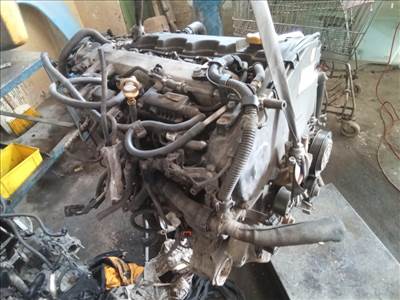 FIAT STILO 01.09-06.12 Motor, diesel fűzött blokk hengerfejjel
