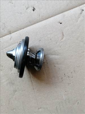 SsangYong Kyron Termosztát 6062030775