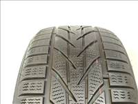 Toyo S953 Snowprox 195/50 R15 