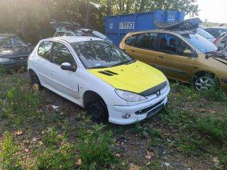 PEUGEOT 206 Ferdehátú (2A/C) Jobb első Gólyaláb (Lengécsillapító, Rugó)