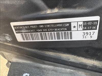Skoda Rapid motor 