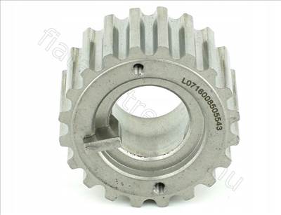 Vezérműtengely fogaskerék RENAULT KANGOO 08> Főtengely PIN 1.5 DCI - CLIO, LOGAN, MODUS, LAGUNA, MEGANE, KANGOO - FT45604, 8200029646 -  - Fastoriginal Utángyártott új 8200029646
