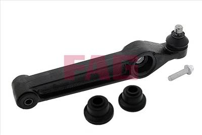 FAG 821 0289 10 - Lengőkar CHEVROLET DAEWOO OPEL SUZUKI VAUXHALL