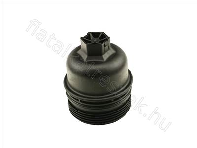 Olajszűrő Kulcsház RENAULT MASTER 10> Fedél 2.3 DCI - SCÉNIC, GRAND, KADJAR, MASTER, TALISMAN, TRAFIC - FT38201, 1 520 100 Q0B -  - Fastoriginal Utángyártott új 1 520 100 Q0B